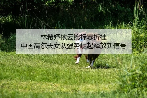 林希妤依云锦标赛折桂 中国高尔夫女队强势崛起释放新信号